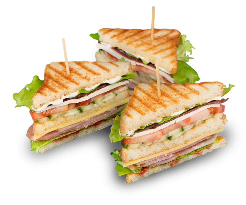 Panini's webiste