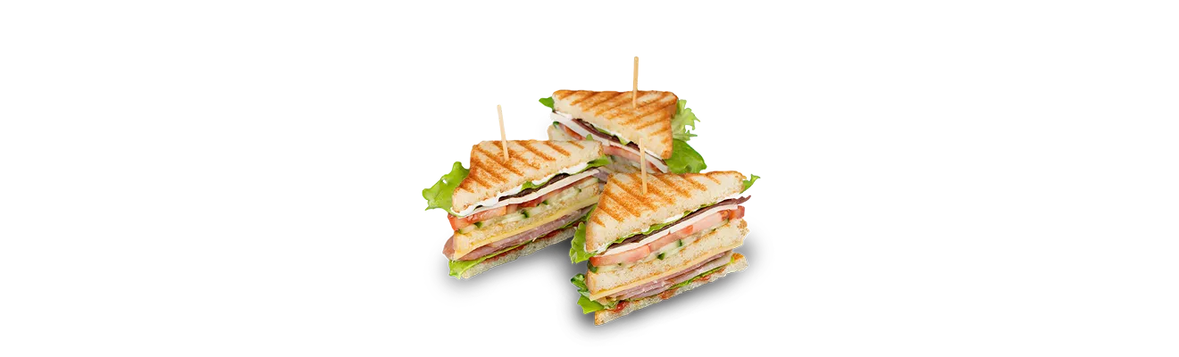 Panini's webiste